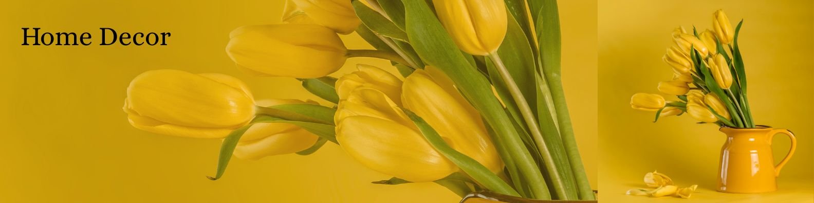 Banner 6 Home utility 